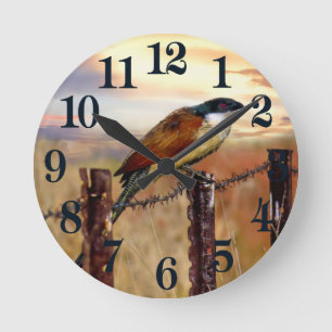 Reloj Redondo Mediano Pájaro del cuco de Coucal de Burchell