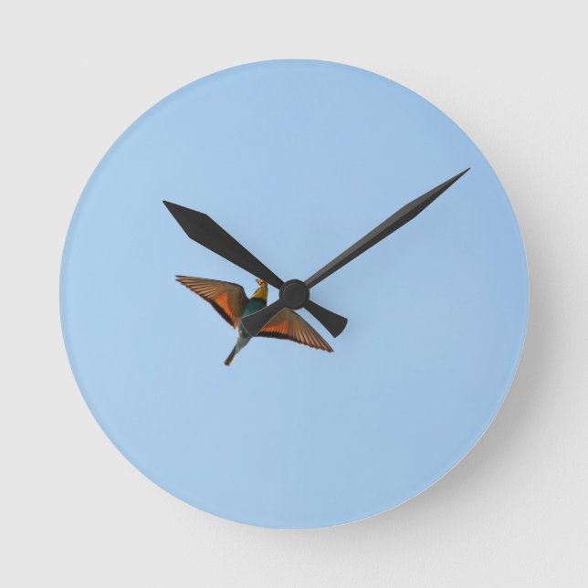 Reloj Redondo Mediano Papamoscas (Anverso)