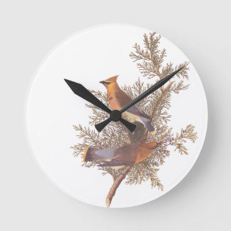 Reloj Redondo Mediano Pares del pájaro del Waxwing del cedro de Audubon