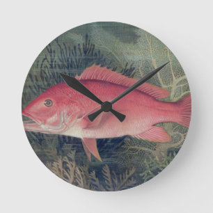 Reloj Redondo Mediano Pargo Rojo, de 'Game Fishes of the United States