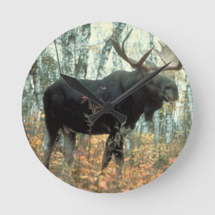 Reloj Redondo Mediano Parque de Árboles Forestales Moose Arte de Vida Si