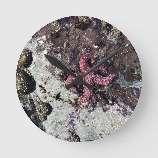 Reloj Redondo Mediano Parque Estatal Sisters Rock, Costa de Oregón (Anverso)