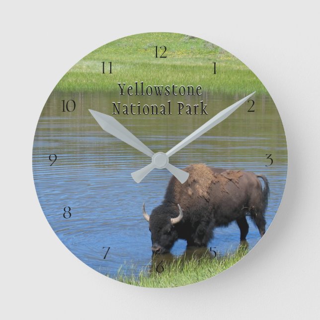 Reloj Redondo Mediano Parque nacional Yellowstone Bison in Pond (Anverso)