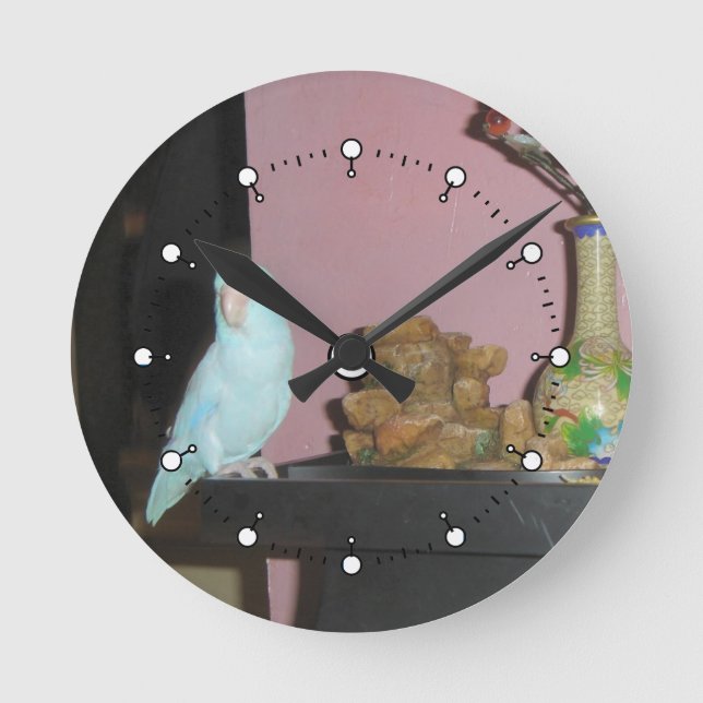 Reloj Redondo Mediano Parrolet Wall Clock** Descripción de lectura (Anverso)