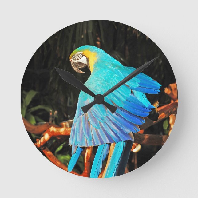 Reloj Redondo Mediano Parrot wall clock (Anverso)