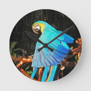 Reloj Redondo Mediano Parrot wall clock