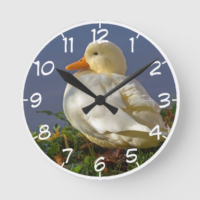Reloj Redondo Mediano Pato blanco pequeño (Anverso)