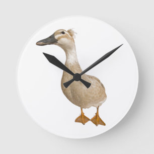 Reloj Redondo Mediano Pato con cresta femenino, 3 años