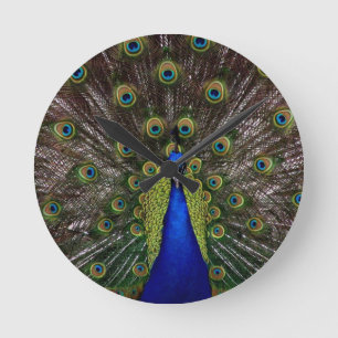 Reloj Redondo Mediano Pavo real