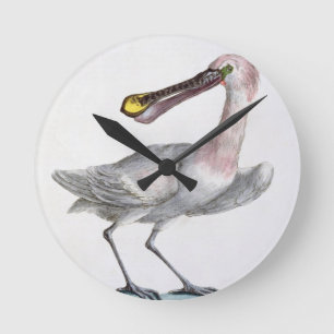 Reloj Redondo Mediano Pelícano, c.1767-76 (grabado coloreado mano)