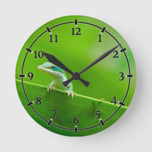Reloj Redondo Mediano Pequeña cosa de Anole Lizard Verde Encuentro Cuid