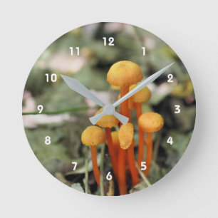 Reloj Redondo Mediano Pequeña naturaleza de hongos Naranjas salvajes