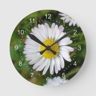 Reloj Redondo Mediano Pequeñas margaritas