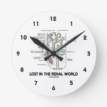 Perdido en el mundo renal (riñón Nephron)