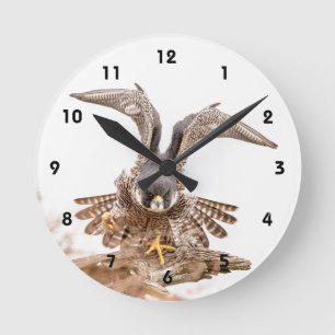 Reloj Redondo Mediano Peregrine Falcon