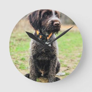 Reloj Redondo Mediano Perrito el señalar Griffon Wirehaired
