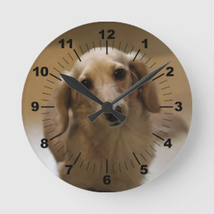 Reloj Redondo Mediano Perrito lindo