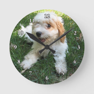 RELOJ REDONDO MEDIANO PERRITO LINDO DE CAVAPOO