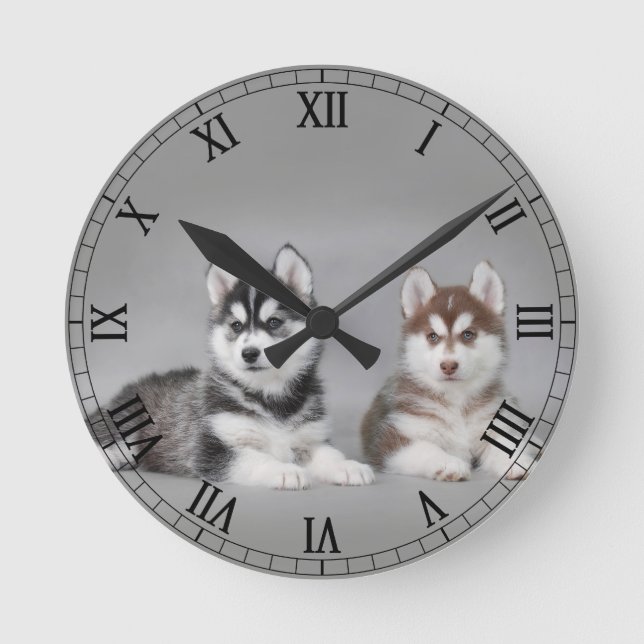Reloj Redondo Mediano Perritos del husky siberiano (Anverso)