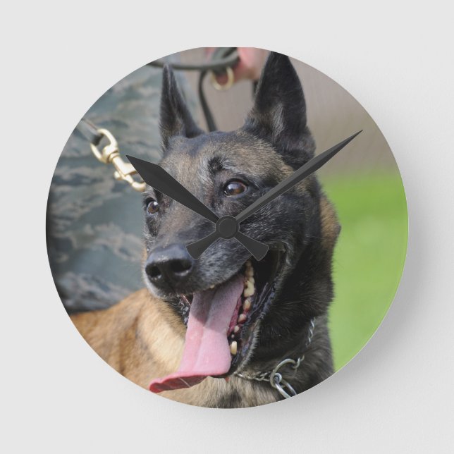 Reloj Redondo Mediano Perro belga malinois sonriente (Anverso)