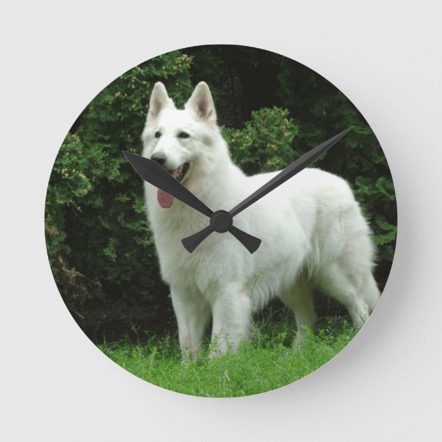 Reloj Redondo Mediano Perro de Berger Blanc Suisse (Anverso)