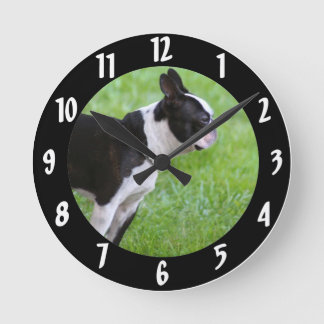 Reloj Redondo Mediano Perro de Boston Terrier