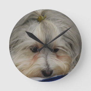 Reloj Redondo Mediano Perro de reclinación de Havanese