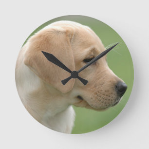 Reloj Redondo Mediano Perro de recuperación de labrador amarillo
