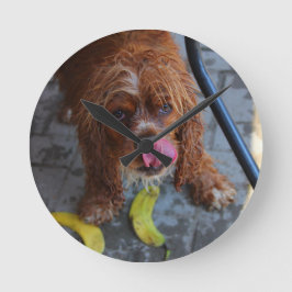 Reloj Redondo Mediano Perro mojado con un plátano