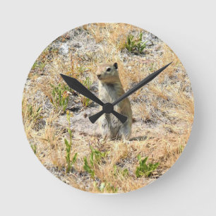 Reloj Redondo Mediano Perro Prairie en Yosemite, CA
