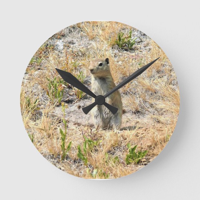 Reloj Redondo Mediano Perro Prairie en Yosemite, CA (Anverso)