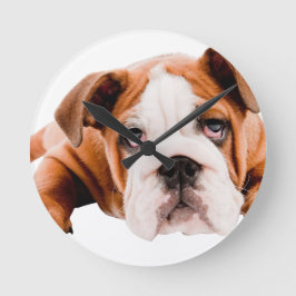 RELOJ REDONDO MEDIANO PERROS, MASCOTAS BULLDOG CUTE REALISMO DIGITAL ADO