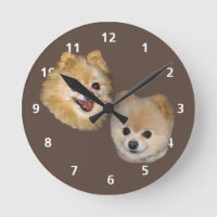 Personalizable del perro de Pomeranian