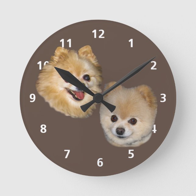 Reloj Redondo Mediano Personalizable del perro de Pomeranian (Anverso)