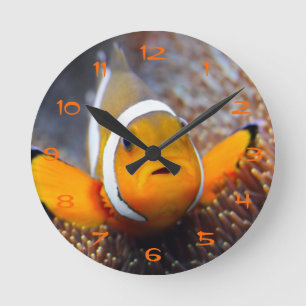 Reloj Redondo Mediano Pescados tropicales del filón - Clownfish