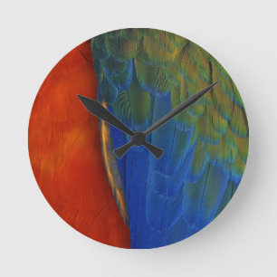 Reloj Redondo Mediano Pestañas de Macaw