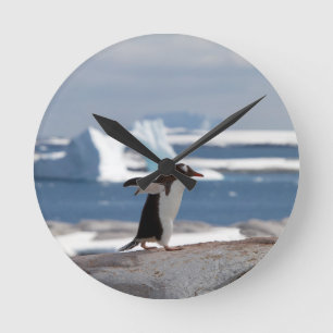 Reloj Redondo Mediano Pingüino frente a un arco de hielo
