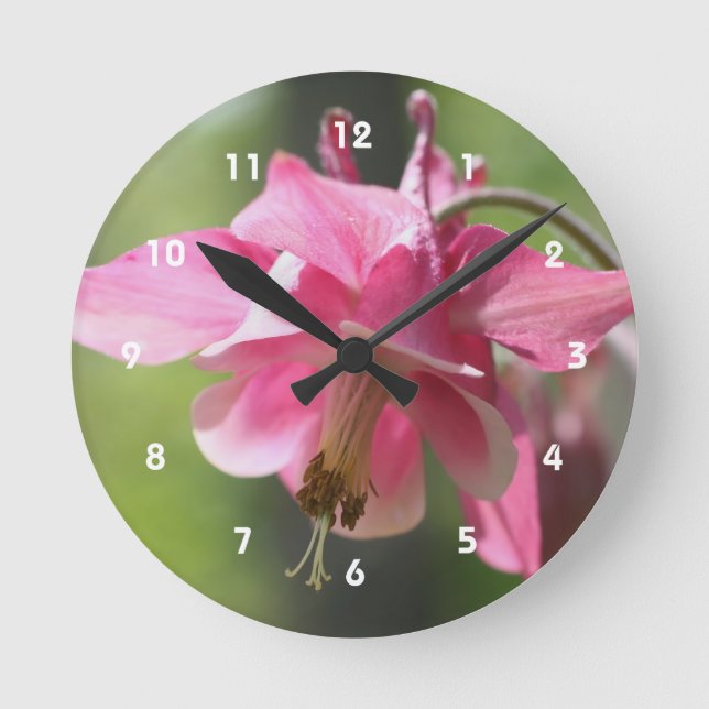 Reloj Redondo Mediano Pink Columbine Flower (Anverso)