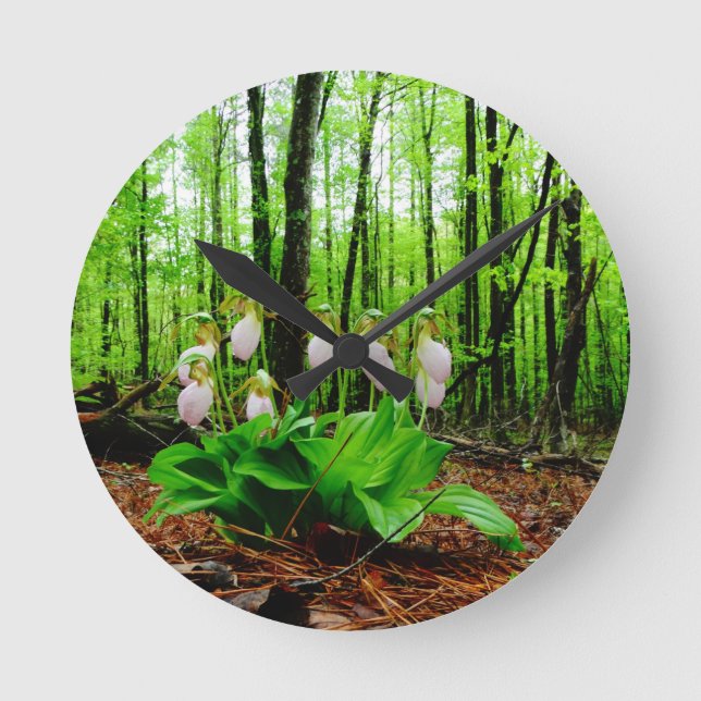 Reloj Redondo Mediano Pink Lady Slipper Wild Orchid (Anverso)