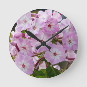 Reloj Redondo Mediano Pink Phlox