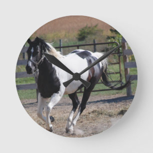 Reloj Redondo Mediano Pinto Paint Horse