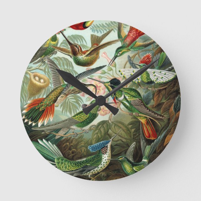 Reloj Redondo Mediano pintura clásica de la fauna silvestre de comingbir (Anverso)