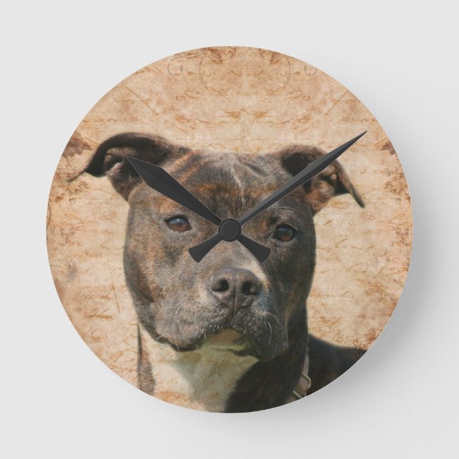 Reloj Redondo Mediano Pit Bull Terrier (Anverso)
