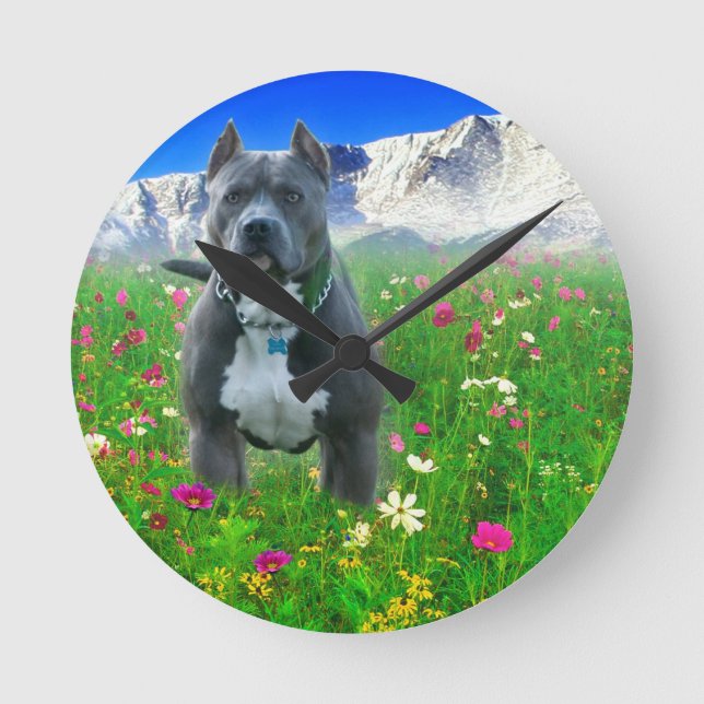 Reloj Redondo Mediano Pitbull Terrier americano azul, pico de los lucios (Anverso)