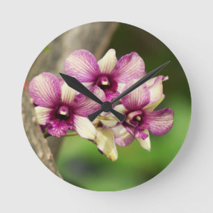 Reloj Redondo Mediano Placer de la orquídea