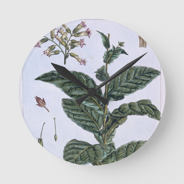 Reloj Redondo Mediano Planta de tabaco, placa 7, de la 'colección (Anverso)