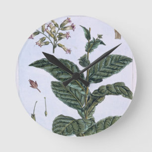 Reloj Redondo Mediano Planta de tabaco, placa 7, de la 'colección