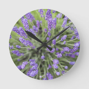 Reloj Redondo Mediano Plantas de lavanda