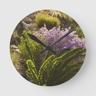 Reloj Redondo Mediano Plantas del desierto de Chihuahua en flor
