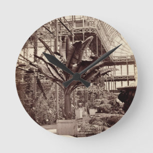 Reloj Redondo Mediano Plantas tropicales en el cuarto egipcio, Pala